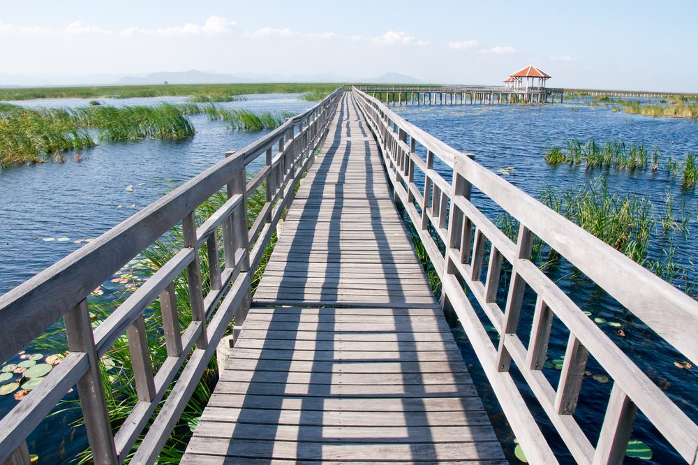 Top Day Trip Destinations