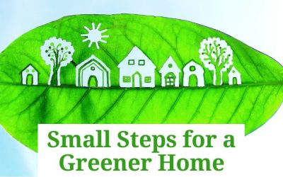 Small Steps for a Greener Home